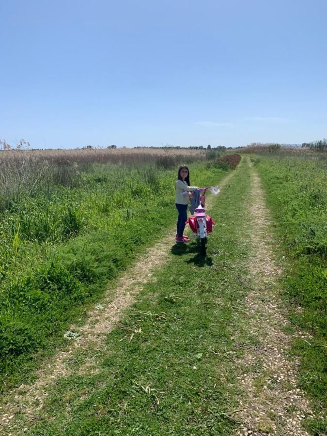 Agriturismoeloropizzuta Lido di Noto Eksteriør billede