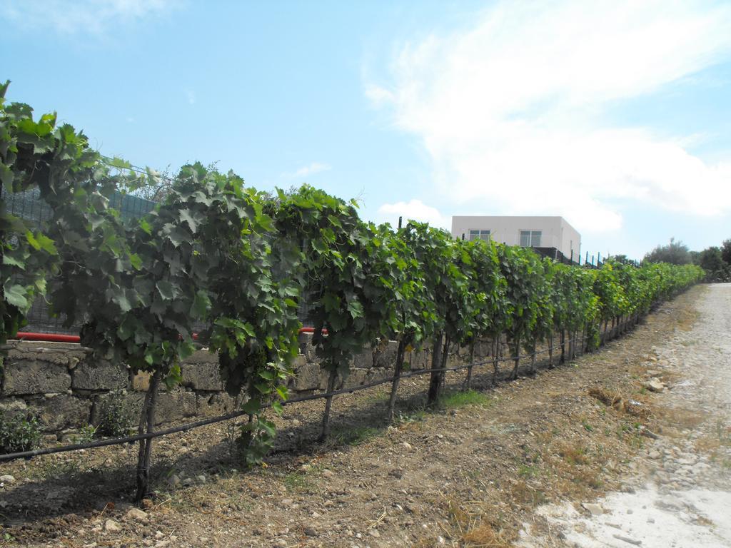 Agriturismoeloropizzuta Lido di Noto Eksteriør billede