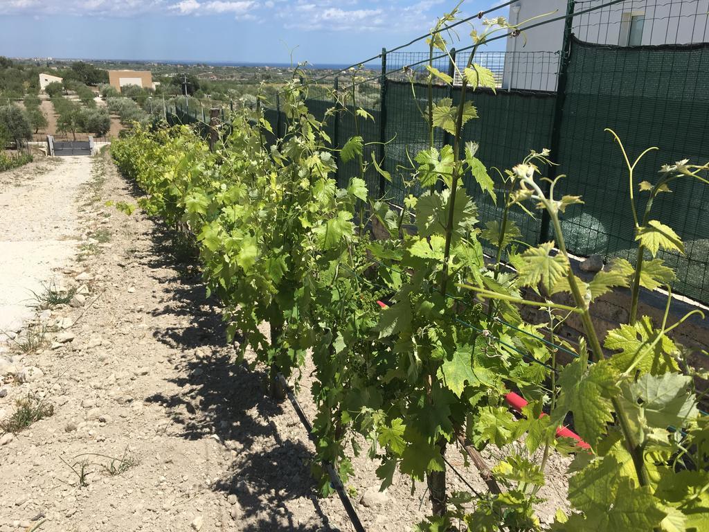 Agriturismoeloropizzuta Lido di Noto Eksteriør billede